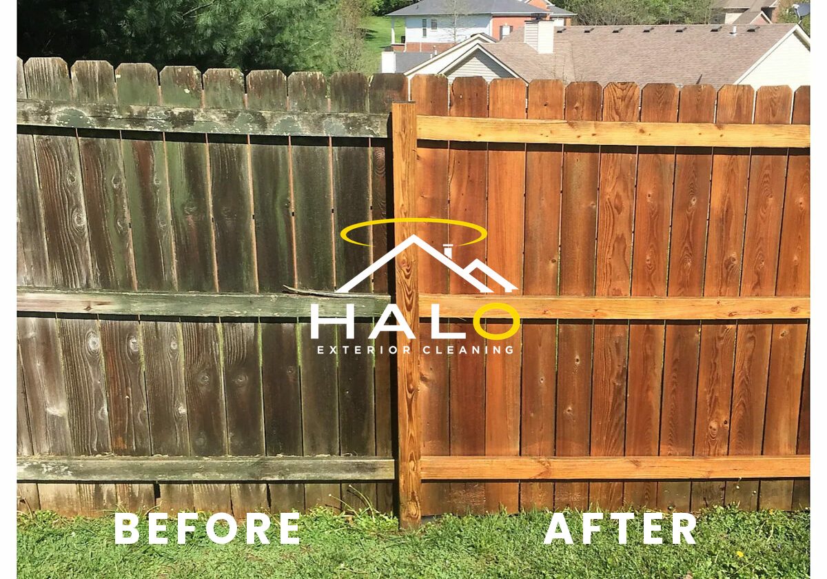 Fence cleaning, before and after
