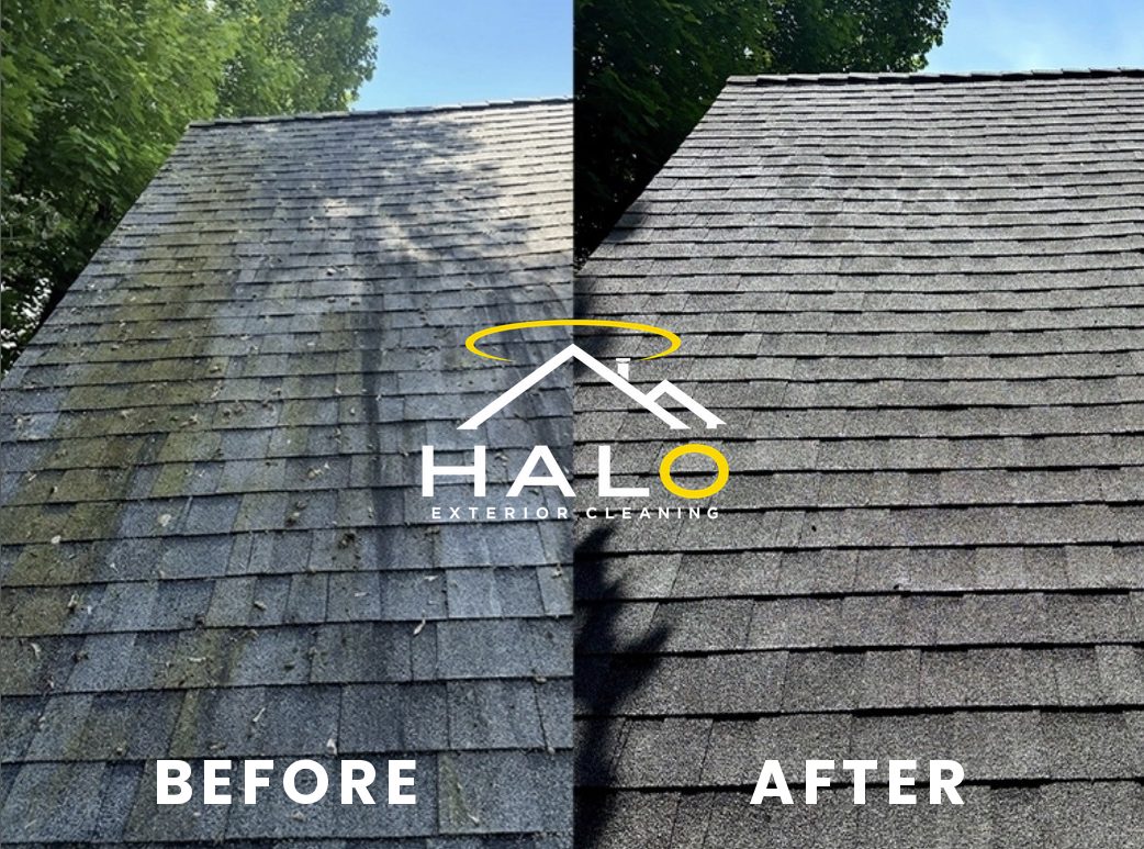 Roof cleaning, before and after